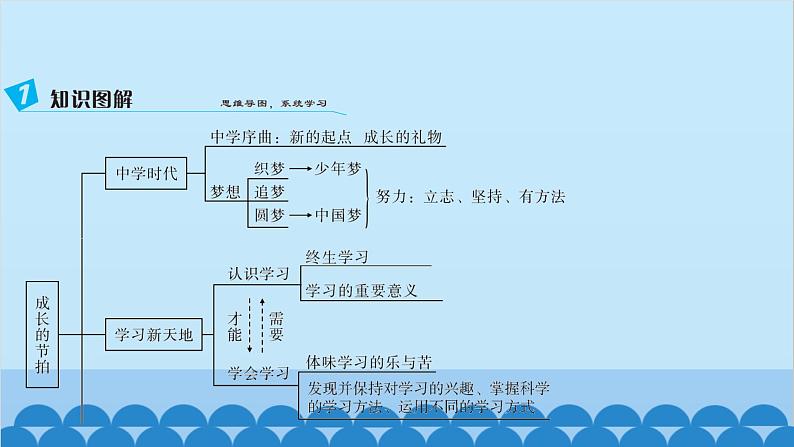 部编版道德与法治七年级上册 第一单元　成长的节拍习题课件03