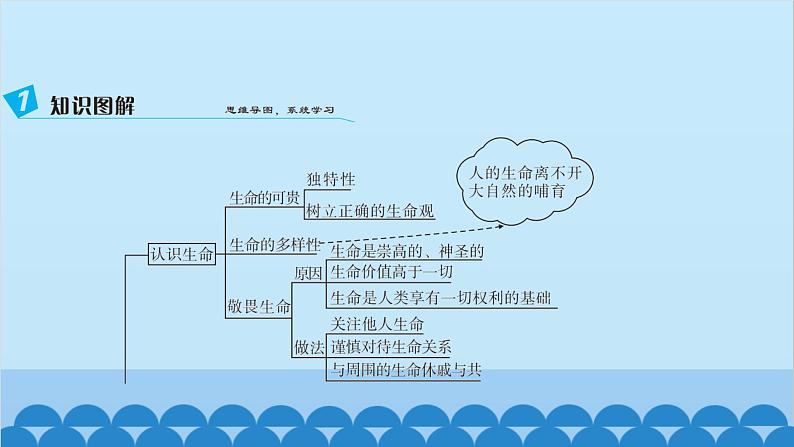 部编版道德与法治七年级上册 第四单元　生命的思考习题课件03