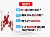 10.1 法律为我们护航 课件-2023-2024学年统编版道德与法治七年级下册