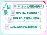 10.1 法律为我们护航课件  七年级道德与法治下册 （统编版）