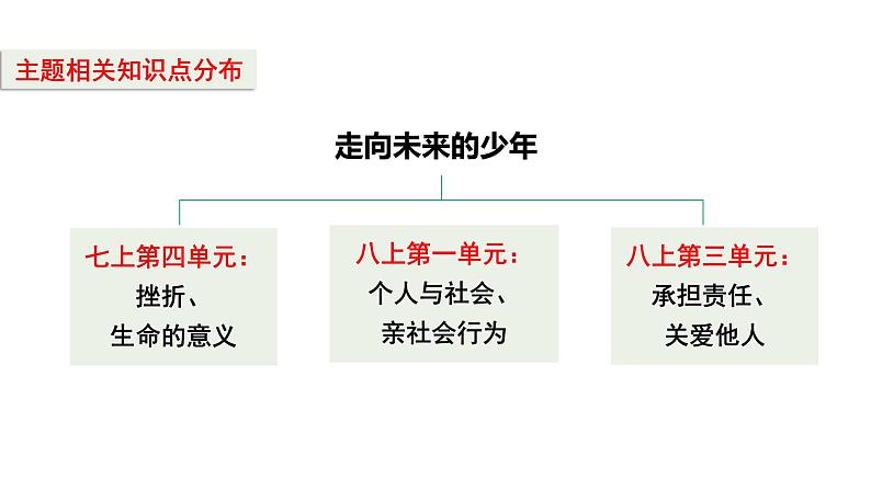 2024成都中考道法二轮复习专题 走向未来的少年（课件）第4页