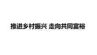 2024成都中考道法复习备考专题 推进乡村振兴走向共同富裕（课件）