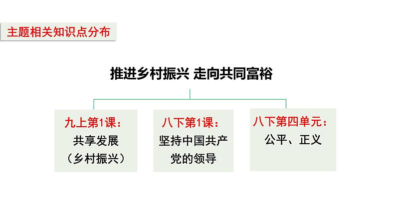 2024成都中考道法复习备考专题 推进乡村振兴走向共同富裕（课件）第4页