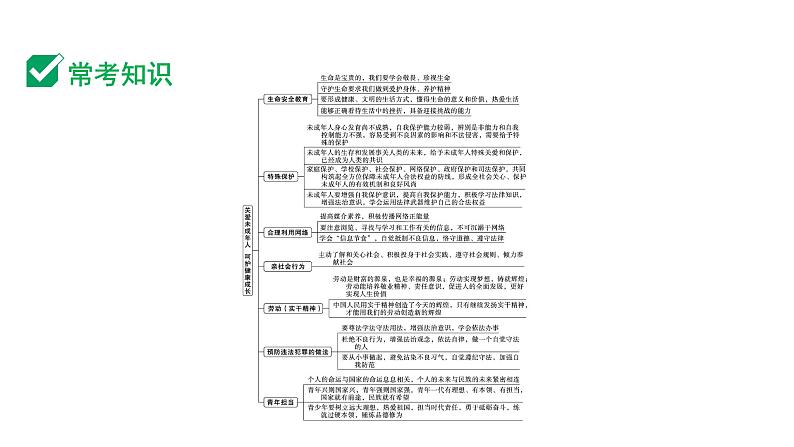 2024成都中考道法三轮冲刺备考专题  关爱未成年人 呵护健康成长（课件）第2页