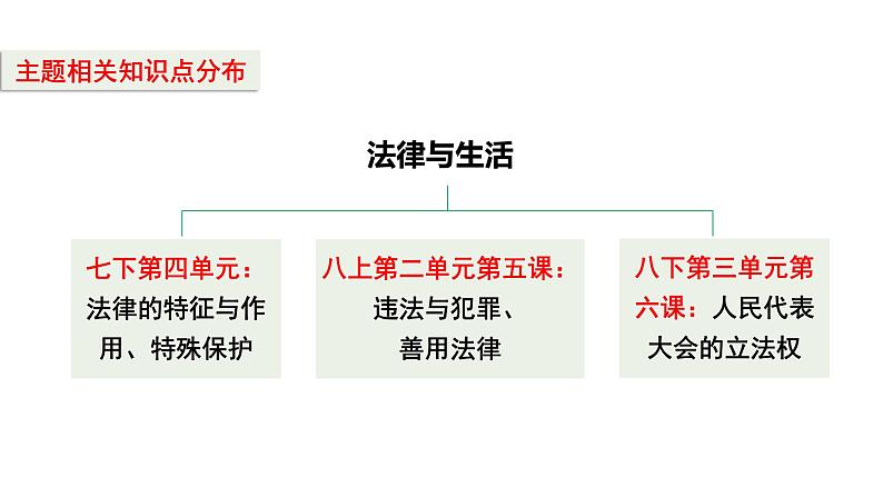 2024成都中考道法一轮知识点复习专题 法律与生活（课件）第4页