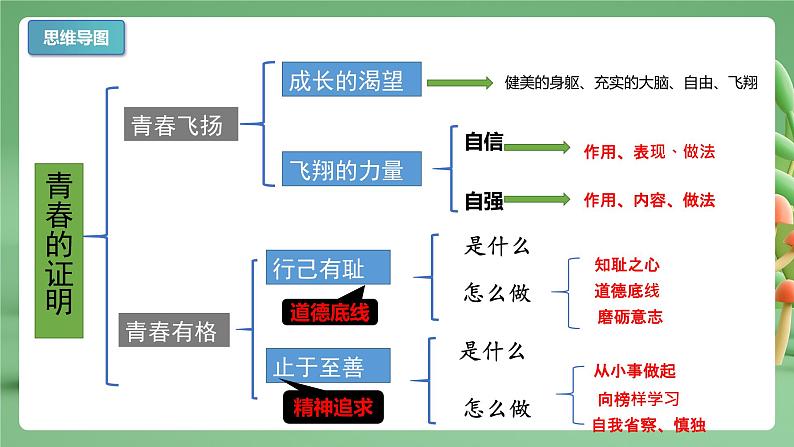 【期末复习】专题03：青春的证明-七年级下册道德与法治期中期末考点梳理（部编版）课件PPT03