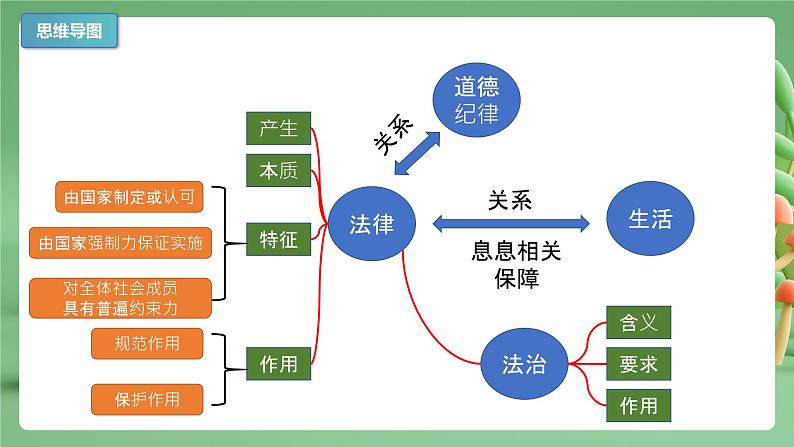 【期末复习】专题09：法律在我们身边-七年级下册道德与法治期中期末考点梳理（部编版）课件PPT第3页