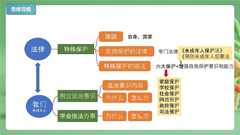 【期末复习】专题10：法律伴我们成长-七年级下册道德与法治期中期末考点梳理（部编版）课件PPT第3页