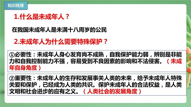 【期末复习】专题10：法律伴我们成长-七年级下册道德与法治期中期末考点梳理（部编版）课件PPT第5页