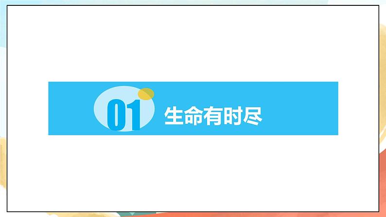 人教部编版道德与法治六年级全一册  8.1 生命可以永恒吗  课件03