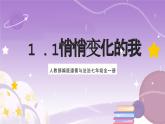 人教部编版道德与法治七年级全一册 1.1悄悄变化的我  课件