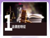 人教部编版道德与法治七年级全一册 9.2 法律保障生活 课件+素材