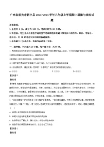 广东省韶关市新丰县2023-2024学年八年级上学期期中道德与法治试题（含解析）