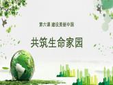 部编版九年级道德与法治上册6.2《共筑生命家园》精美课件