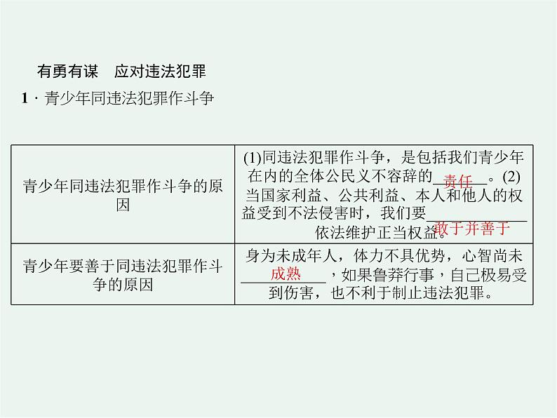 人教版政治八年级上册第五课第三框《善用法律》课件+教案+课上练习题05