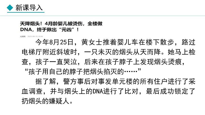 部编版九年级道德与法治上册课件 4.1 夯实法治基础第4页