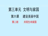 部编版九年级道德与法治上册课件 6.2 共筑生命家园