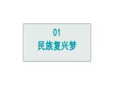 部编版九年级道德与法治上册课件 8.1 我们的梦想