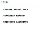 部编版八年级道德与法治上册课件 5.2 预防犯罪