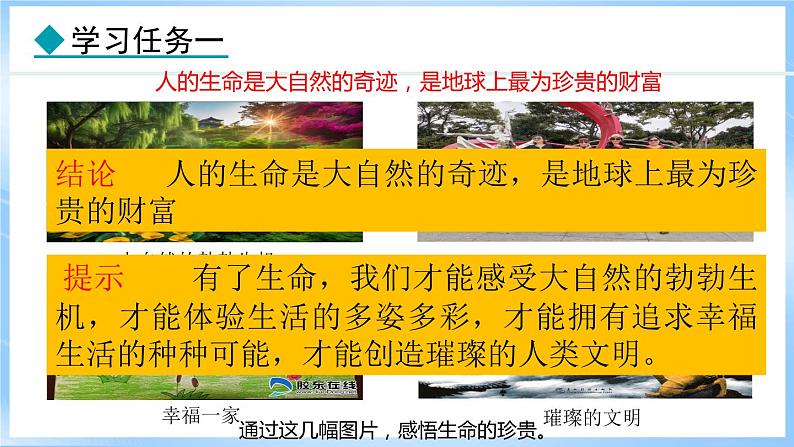 8.1 认识生命(课件)-2024-2025学年统编版道德与法治(2024)七年级上册04