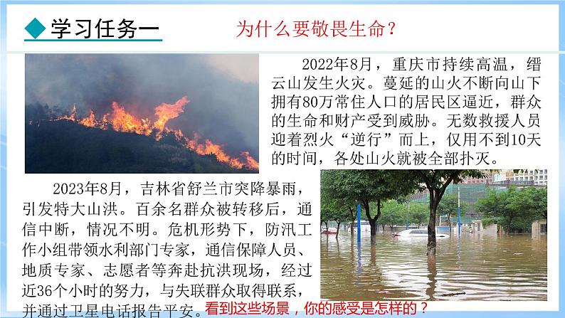 8.2 敬畏生命(课件)-2024-2025学年统编版道德与法治(2024)七年级上册第5页