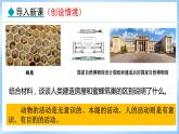 11.1 探问人生目标(课件)-2024-2025学年统编版道德与法治(2024)七年级上册