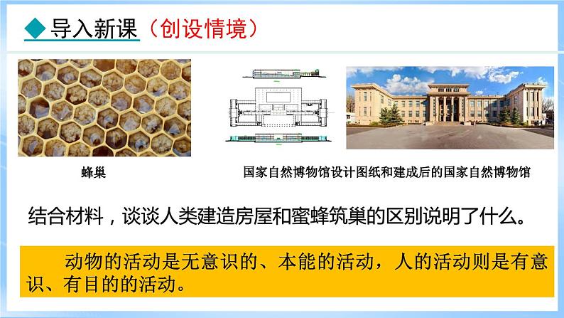 11.1 探问人生目标(课件)-2024-2025学年统编版道德与法治(2024)七年级上册第3页