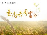 部编版道德与法治九年级上册 1.2 走向共同富裕 （教学课件+同步教案）