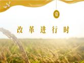 部编版道德与法治九年级上册 1.2 走向共同富裕 （教学课件+同步教案）