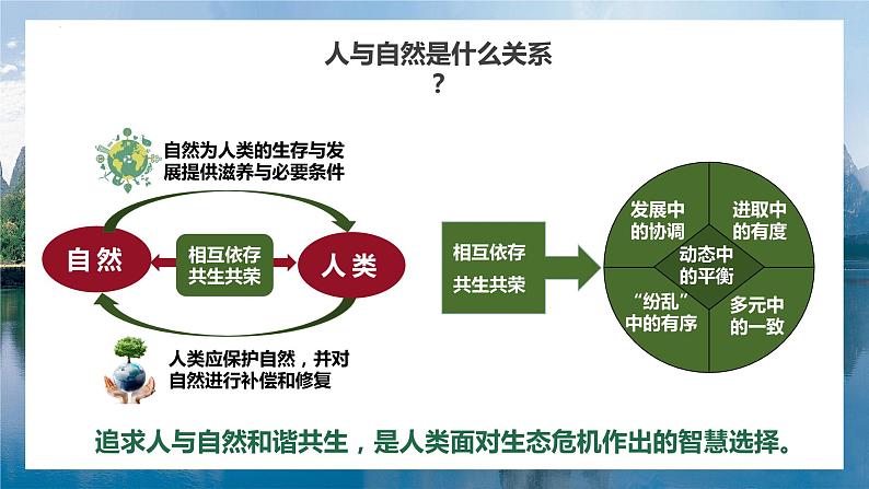 部编版道德与法治九年级上册 6.2 共筑生命家园（教学课件+同步教案）07