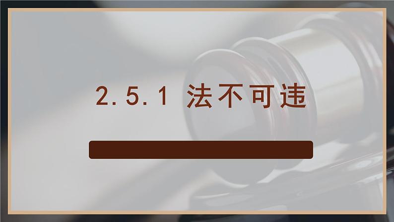 2.5.1 法不可违第3页