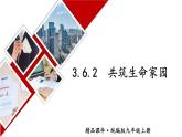 道德与法治 9年级上册 第3单元 3.6.2 共筑生命家园 PPT课件+教案