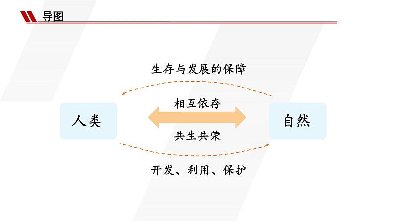 3.6.2 共筑生命家园第8页