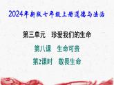 2024年新版七年级上册道德与法治第八课 生命可贵 第2课时 敬畏生命 导学课件