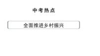 河南省2024年道法中考热点备考重难专题：全面推进乡村振兴（课件）