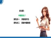【公开课】部编版初中道法9下2.3.1《中国担当》课件+教案+视频