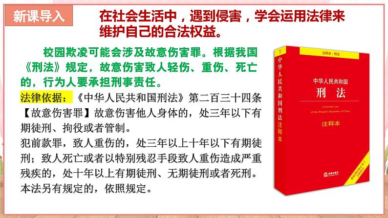 【新课标核心素养】道德与法治八上5.3善用法律（课件38页PPT+教案+视频素材）04