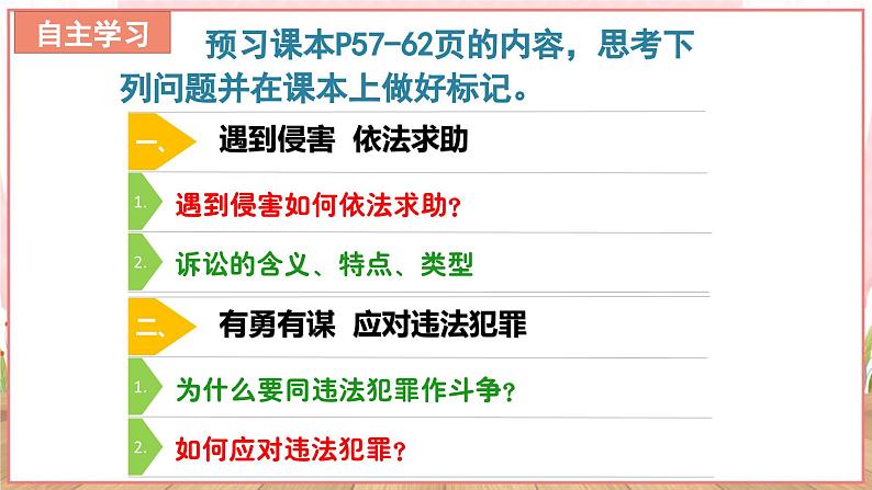 【新课标核心素养】道德与法治八上5.3善用法律（课件38页PPT+教案+视频素材）06