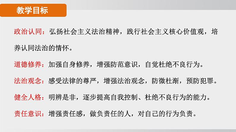 2024-2024学年部编版八年级上道德与法治课件 5.2预防犯罪02