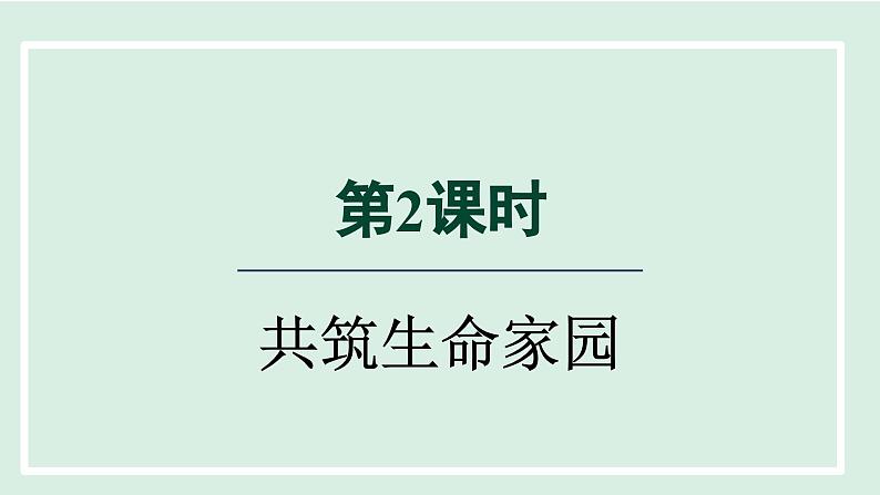 2024年秋部编版九年级上册道德与法治课件 6.2 共筑生命家园第1页
