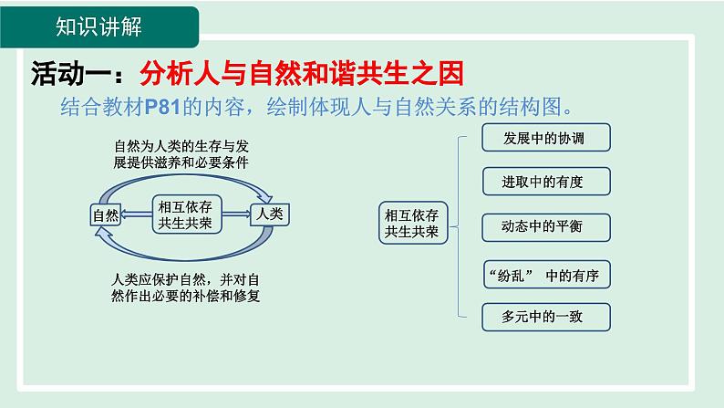 2024年秋部编版九年级上册道德与法治课件 6.2 共筑生命家园第8页