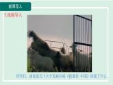 2024年秋部编版九年级上册道德与法治课件 7.1促进民族团结