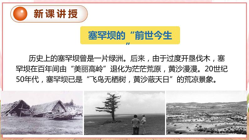 【新课标核心素养】道德与法治九年级上册6.2共筑生命家园（课件+同步教案+素材）08