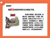 【新统编版】道德与法治八上：5.2预防犯罪-课件
