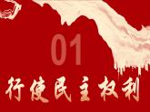 3.2参与民主生活（课件） 道德与法治九年级上册同步 课件（统编版）