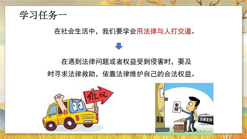 5.3 善用法律-2024-2025学年道德与法治八年级上册同步备课高效课件（统编版）第6页