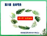 【核心素养】人教部编版道法七上 7.8.1《认识生命》课件+教案+学案+练习+素材