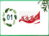 【核心素养】人教部编版道法七上 7.8.1《认识生命》课件+教案+学案+练习+素材