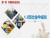 人教版八年级道德与法治上册课件 1.2在社会中成长