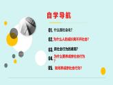人教版八年级道德与法治上册课件 1.2在社会中成长